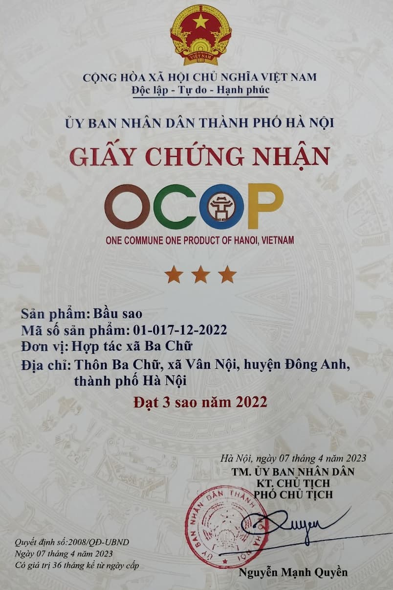 Giấy chứng nhận OCOP sản phẩm: Bầu sao Ba Chữ